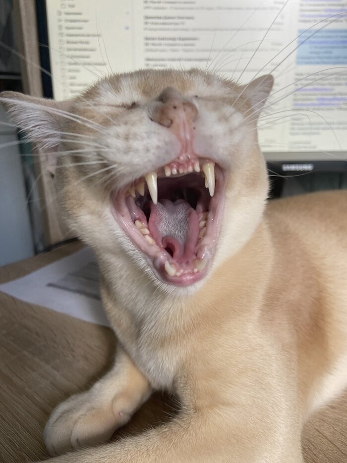    :    , , ,  , ,  ,   