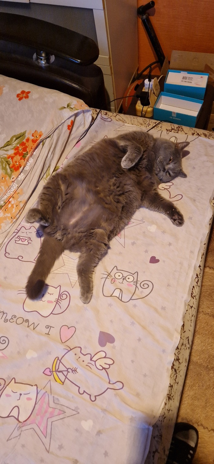 ����� �� ���� ��������: ������ ��� ������