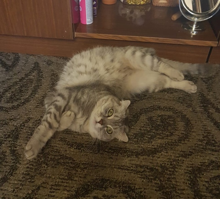 Основной принцип - как хочу, так и лежу))