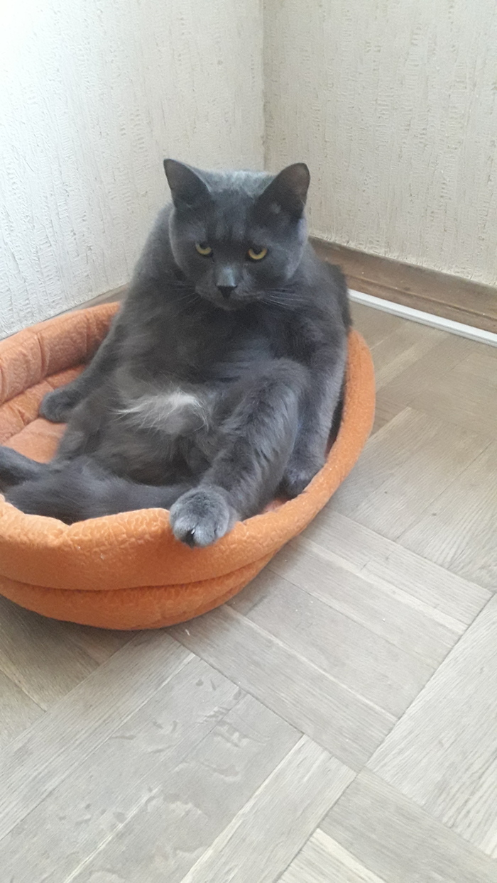   , . ,   ... ,  ,  