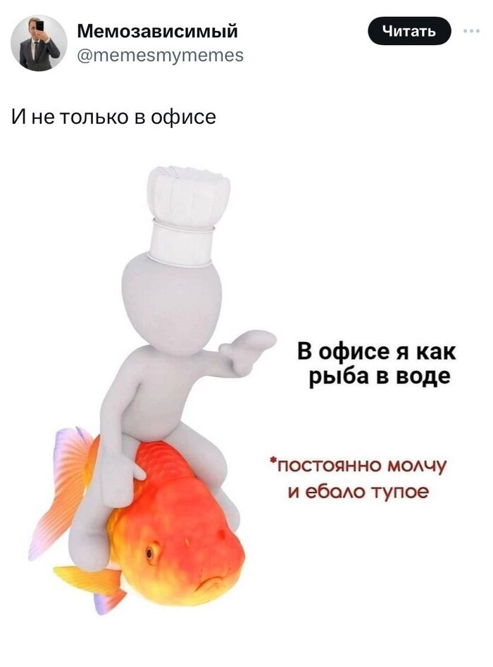       , ,  , ,   , 