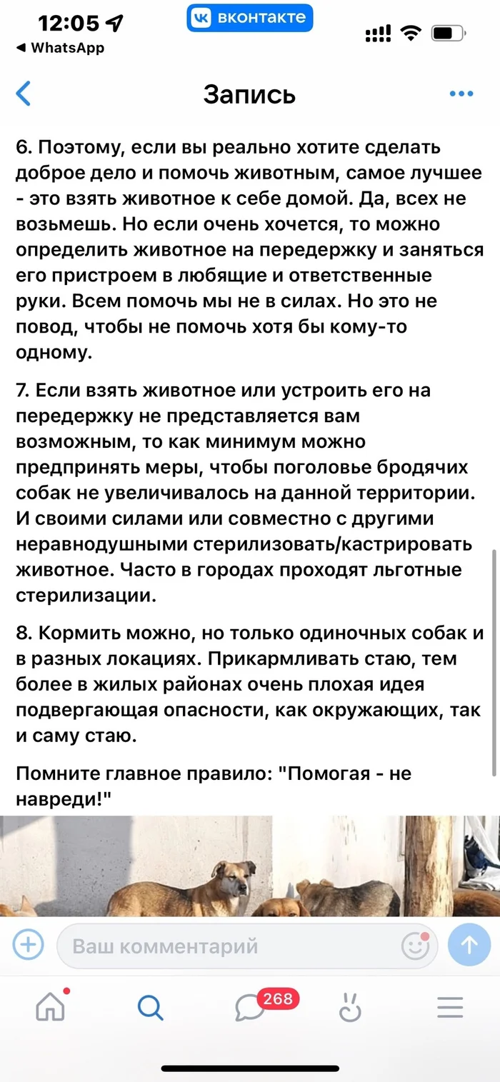 Today I am ashamed that I am an animal rights activist. - Animal defenders, Radical animal protection, Homeless animals, Stray dogs, Dog attack, Longpost, VKontakte (link), Screenshot, Negative