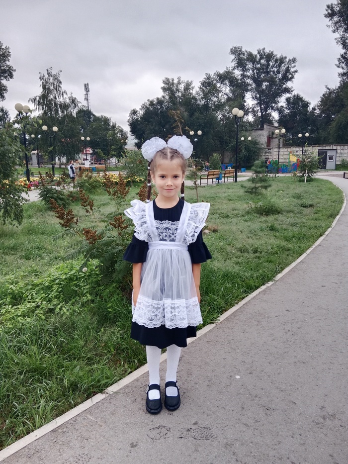 О том, как Василиса попала на семейное образование