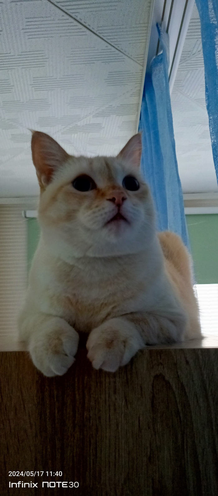    :    , , ,  , ,  ,   , 