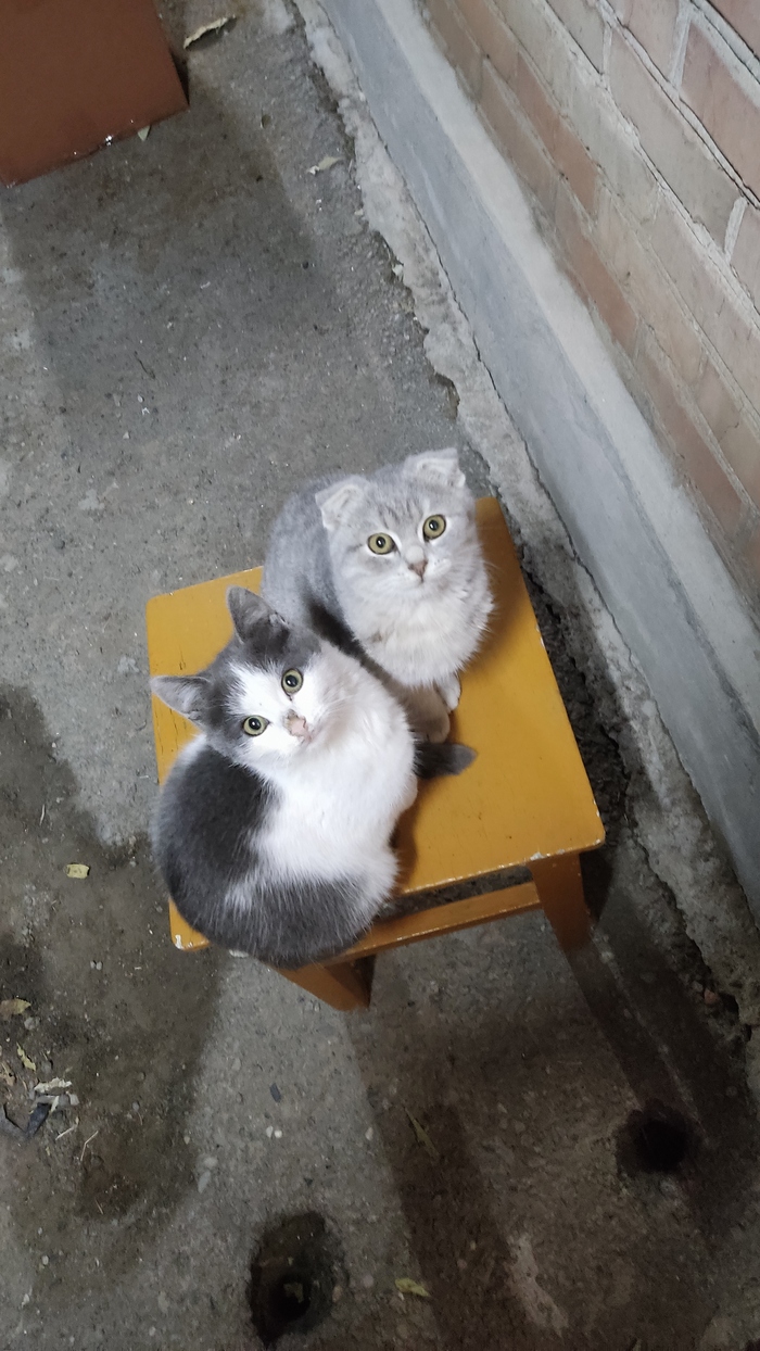    :    , , ,  , ,  ,   , 