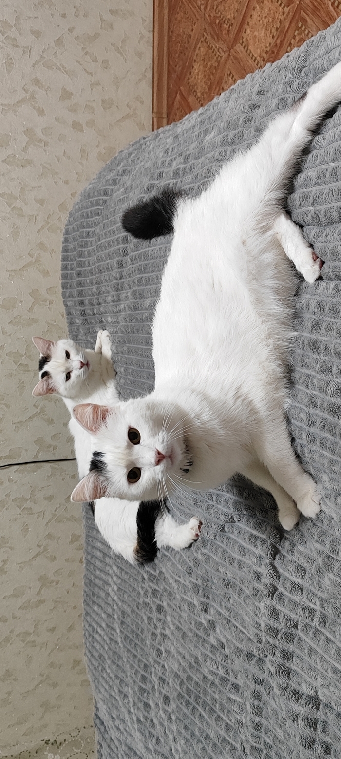    :    , , ,  , ,  ,   , 