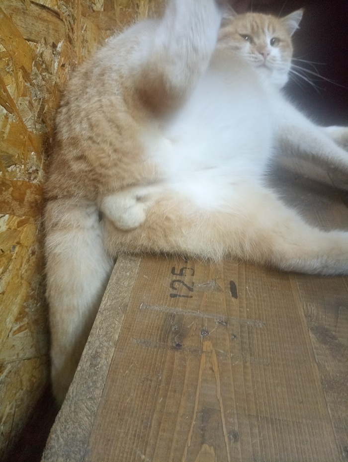    :    , , ,  , ,  ,   