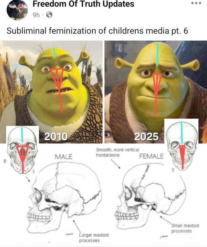     , , ,  , , 