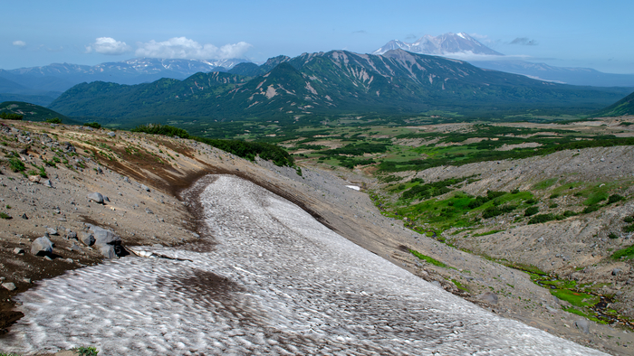  2024.   ,  -  ; ,   -  