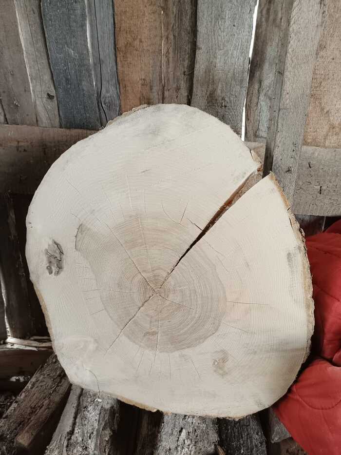 5 месяцев отпуска у пенёчка, дал трещину.