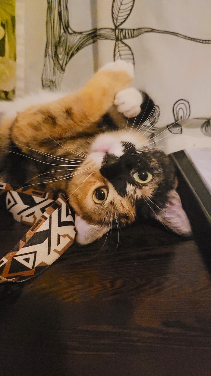    :    , , ,  , ,  ,  ,   