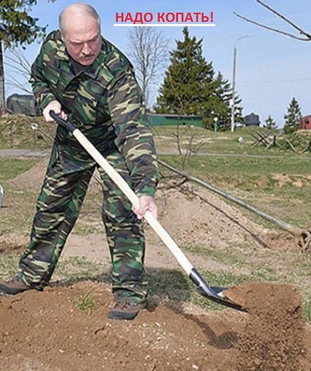 <!--noindex--><a href="https://pikabu.ru/story/lukashenko_postavil_pered_pravitelstvom_zadachu_iskat_v_strane_redkozemelnyie_metallyi__soobshchaet_belta_12451729?u=https%3A%2F%2Fwww.vesti.ru%2Farticle%2F4388080&t=https%3A%2F%2Fwww.vesti.ru%2Farticle%2F4388080&h=8d2e22bc356ed533d12b89ed07804250e713c19a" title="https://www.vesti.ru/article/4388080" target="_blank" rel="nofollow noopener">https://www.vesti.ru/article/4388080</a><!--/noindex-->