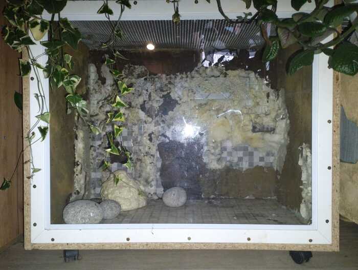  ,    (             )