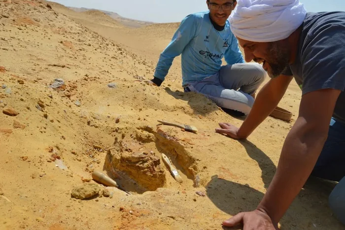 In Egypt, scientists have dug up – no, not a tomb or a mummy, but a formidable predator… - My, Archeology, Nauchpop, Longpost