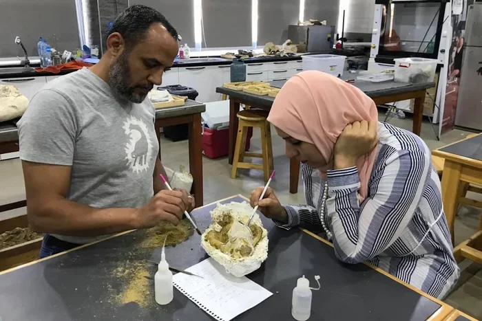 In Egypt, scientists have dug up – no, not a tomb or a mummy, but a formidable predator… - My, Archeology, Nauchpop, Longpost