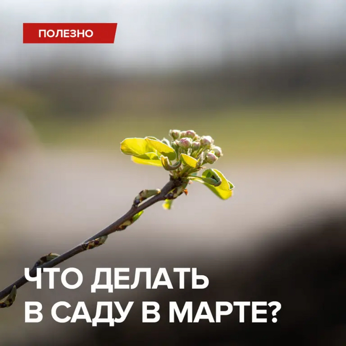      ? , , , , 