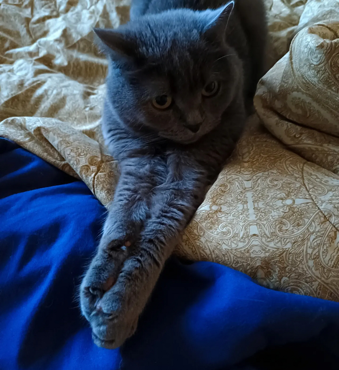     , ,  , 