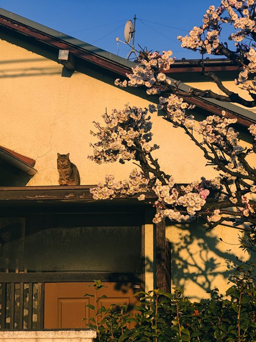 Очаровательный весенний пейзаж