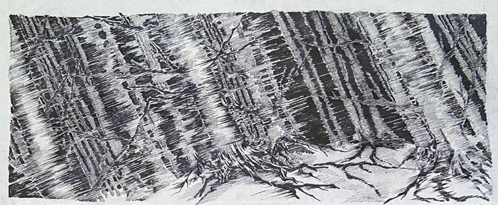 "Стремительным движением, неверный луч фонарика выхватывает стволы деревьев, и они кажутся сломанными и колючими, словно сошедшими со страниц страшных картин. Что там? Что там за ними прячется?"