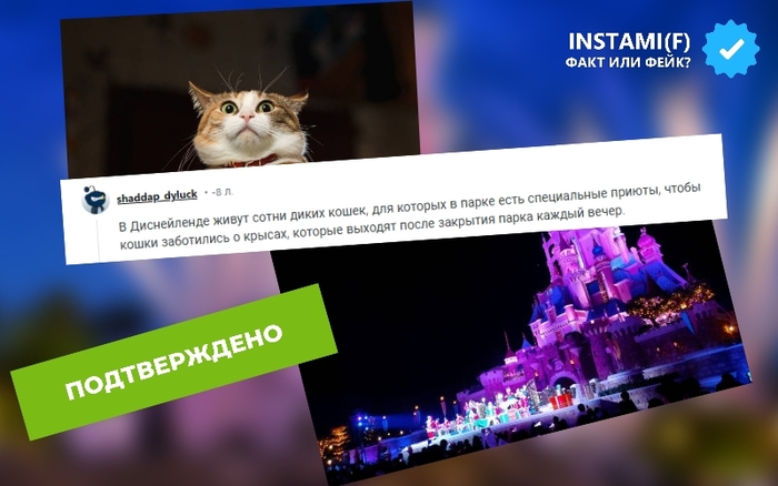    .   ? Walt Disney Company,   , ,  , , 