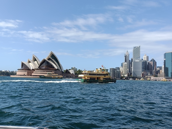 А это паромы, которые соединяют отдаленные районы с центром города