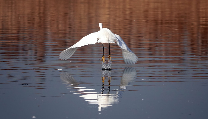 ������� ����������� ������ ������. ���� ������ - ����� �������.