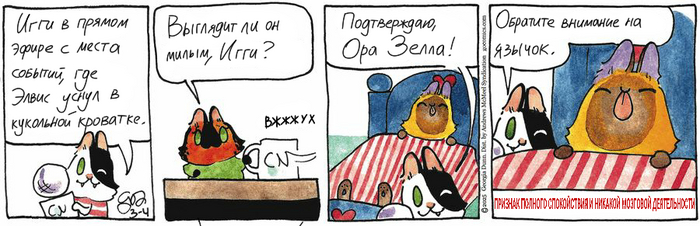 Котейкины Новости от 04.03.2025