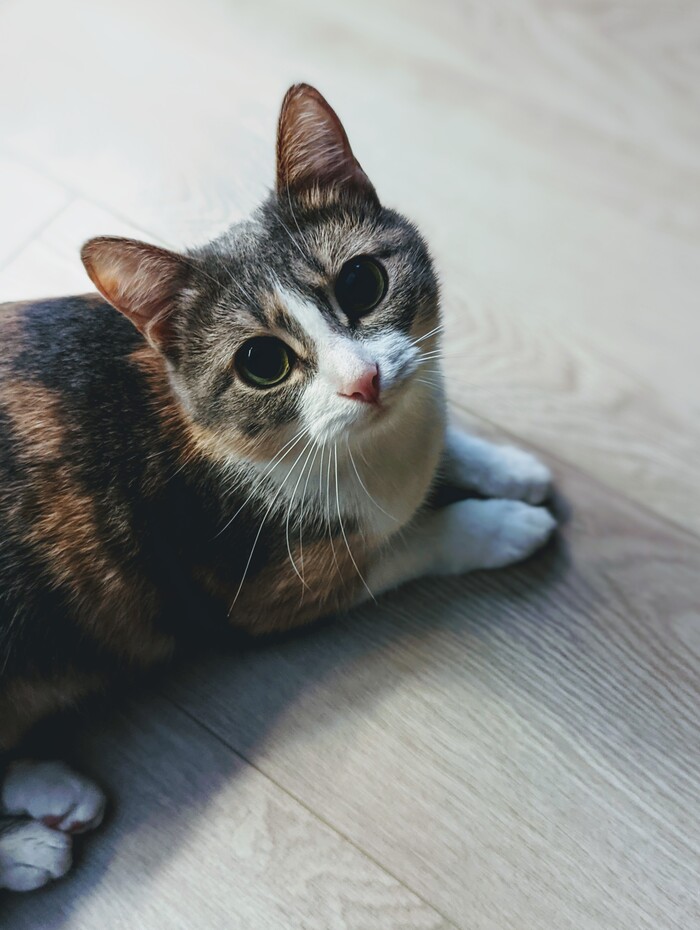    :    , , ,  , ,  ,   , 