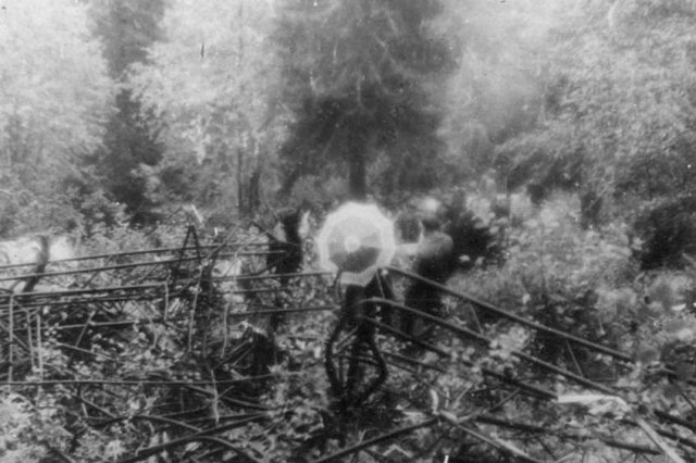   -6         .     1988 .