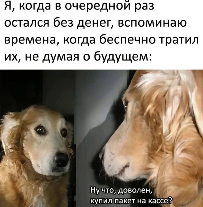 Красивая жизнь она такая