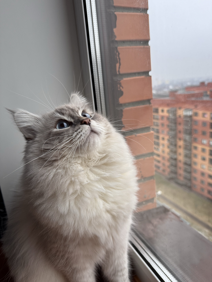    :    , , ,  , ,  ,   , 