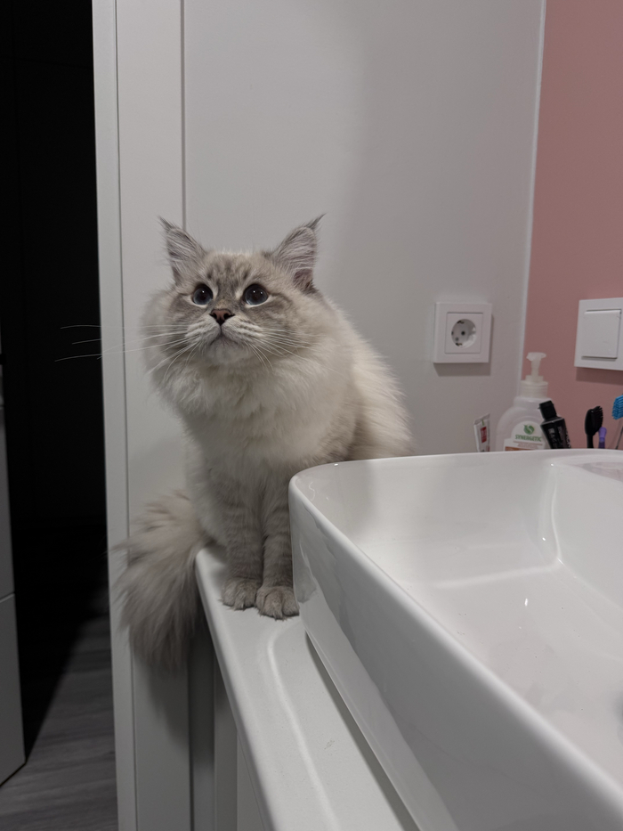    :    , , ,  , ,  ,   , 