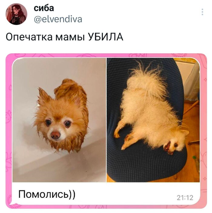  ,   , , , 