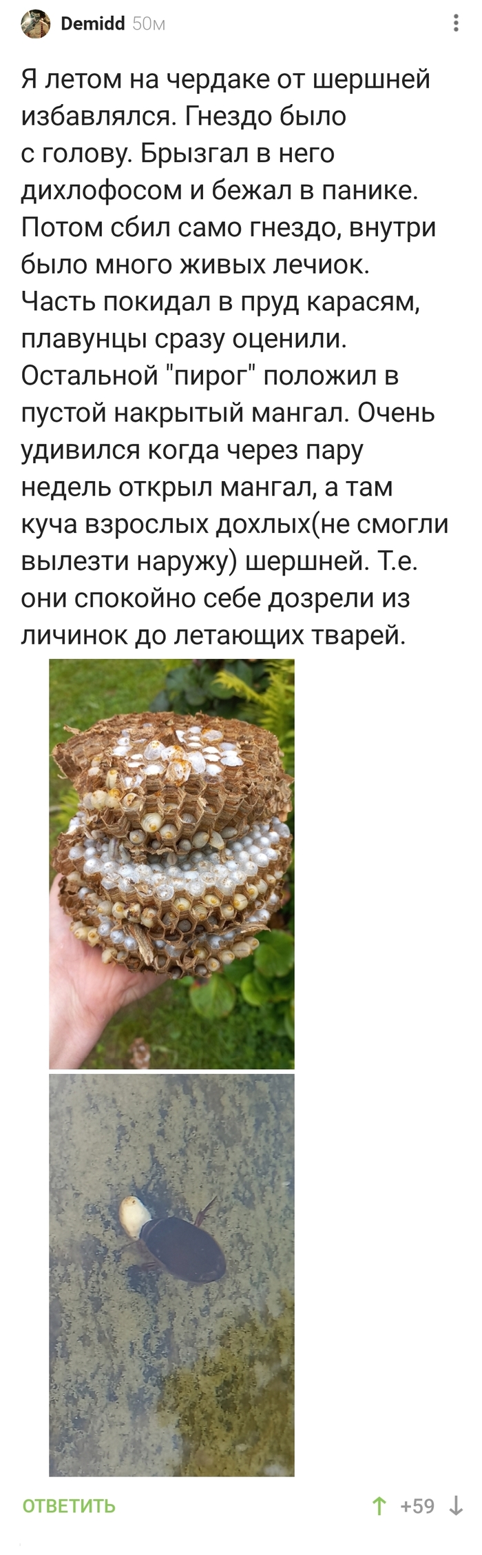   ,  ,   , , , 
