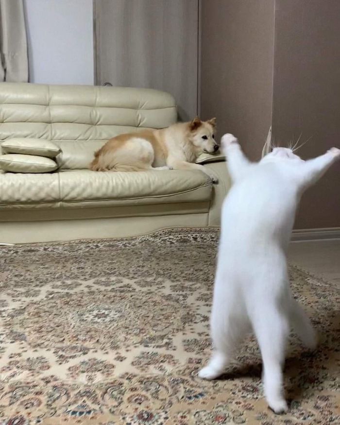  , , ,    