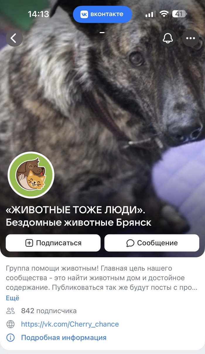 Животные тоже люди!