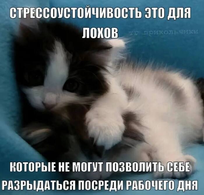 Не стоит все держать в себе