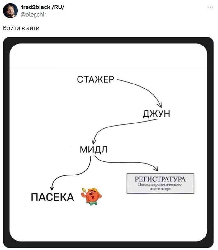 В твиттере показали роадмэп айти-специалиста. Кто на каком этапе?