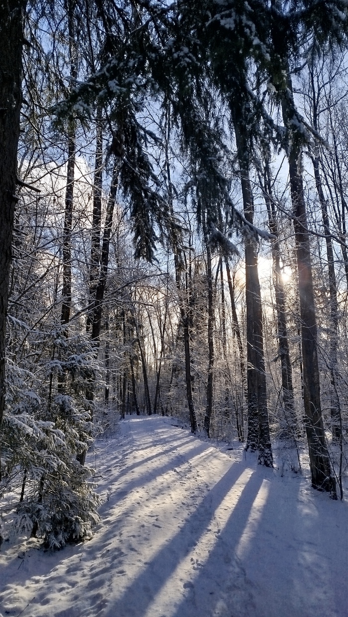 �������� �����...