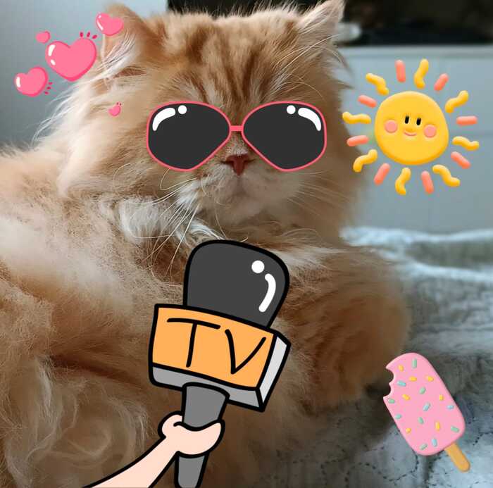  !