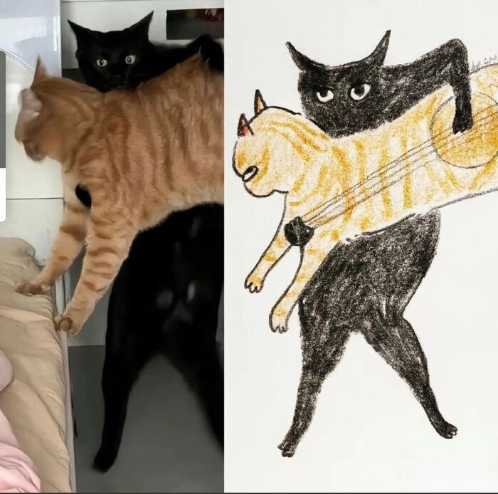 Реклама: ООО "АЛИБАБА.КОМ (РУ)" ИНН 7703380158