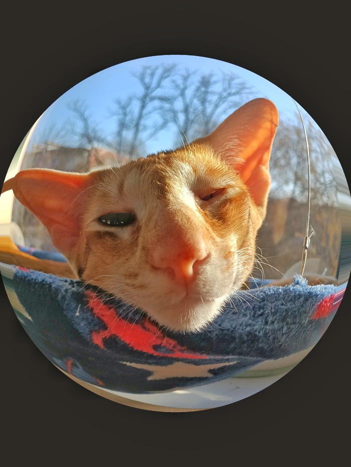     2  ,  , 