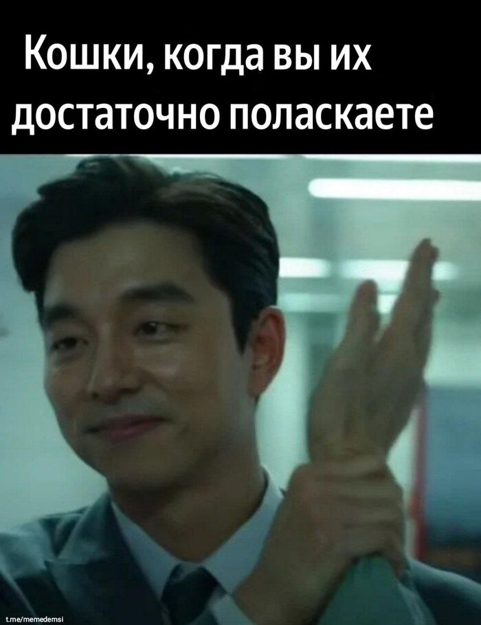 Кому-нибудь кот впивался в руку, потому что вы его долго гладили?