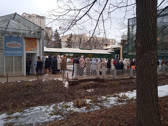 Очередь на вход