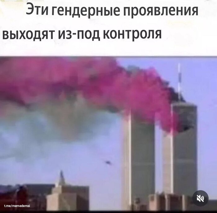 -  ,    *! ,   , , ,  , Telegram (), 11 