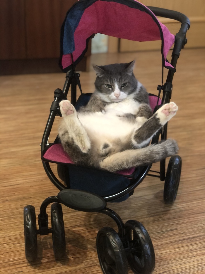 Сладкий пупс