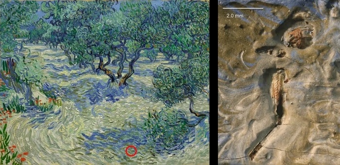      (- 1889 .)  ,   ,  ,         .   -, -