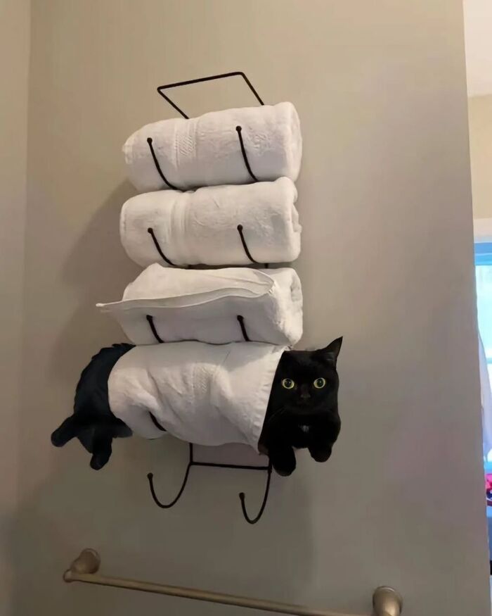     ,  , , , ,  