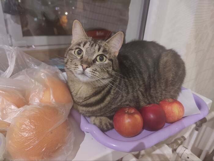    :    , , ,  , ,  , ,  ,  ,   , 