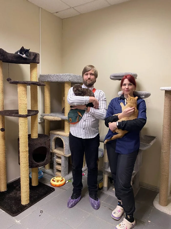 Helped the Homeless Cats Aid Fund TEO - Volunteering, Homeless animals, Saint Petersburg, Animal Rescue, Стрим, Shelter, Overexposure, Good, In good hands, Video, Vertical video, Short videos, Longpost